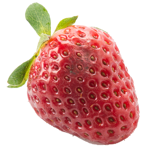 草莓